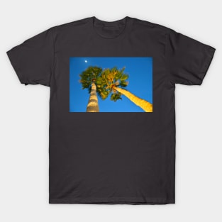 Palm Trees at Night T-Shirt